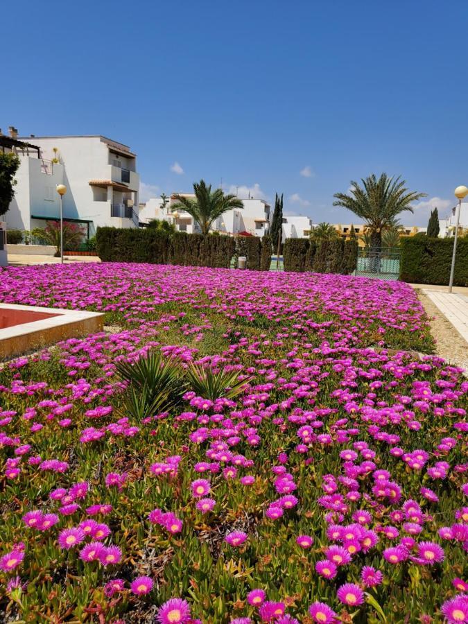 Apartamento En Primera Linea De Vera Playa Naturista! Luaran gambar