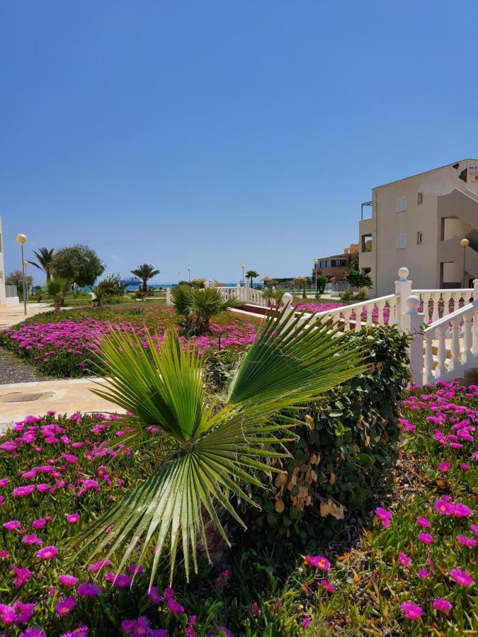 Apartamento En Primera Linea De Vera Playa Naturista! Luaran gambar